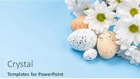  Presentation with blue flower - 