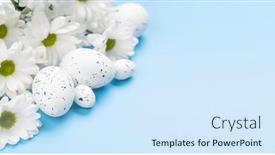  Presentation with blue flower - 