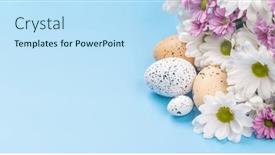  Presentation with blue flower - 