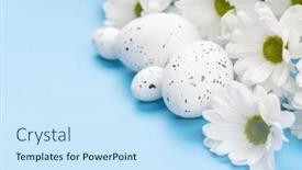  Presentation with blue flower - 