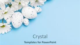  Presentation with blue flower - 