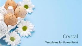  Presentation with greetings - 