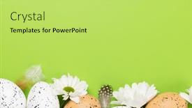  Presentation with greetings - Slide set having easter-eggs-and-flowers background and a yellow colored foreground