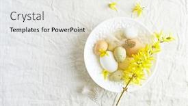  Presentation with white easter lily flowers - Slide set with easter-eggs-and-forsythia-flowers background and a sky blue colored foreground
