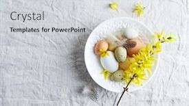  Presentation with white flowers - Colorful presentation design enhanced with easter-eggs-and-forsythia-flowers backdrop and a light gray colored foreground