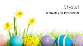  Presentation with narcissus - Slide deck consisting of easter-eggs-and-narcissus-flowers background and a white colored foreground