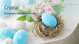  Presentation with easter bunny yellow spring flower - Colorful slides enhanced with easter eggs and spring flowers backdrop and a  colored foreground