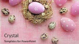  Presentation with easter bunny yellow spring flower - Amazing PPT theme having easter eggs and spring flowers backdrop and a  colored foreground