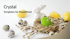  Presentation with easter bunny yellow spring flower - PPT theme consisting of easter eggs and spring flowers background and a  colored foreground