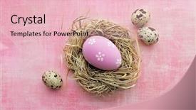  Presentation with bird eggs - PPT theme featuring easter eggs and spring flowers background and a  colored foreground