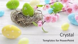  Presentation with bird eggs - Beautiful slide set featuring easter eggs and spring flowers backdrop and a  colored foreground
