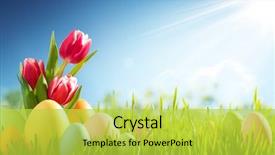  Presentation with tulip - Audience pleasing PPT theme consisting of easter eggs and tulip backdrop and a yellow colored foreground