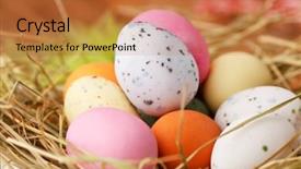 Presentation with bird eggs - Audience pleasing slides consisting of spring birds - easter eggs in a bird's backdrop and a  colored foreground