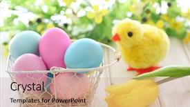  Presentation with easter bunny yellow spring flower - Amazing slide set having easter eggs chick and spring backdrop and a  colored foreground