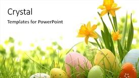  Presentation with daffodil - Colorful slide set enhanced with easter eggs hiding backdrop and a white colored foreground