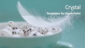  Presentation with aqua - Beautiful PPT layouts featuring cup closeup ob vintage aqua backdrop and a teal colored foreground