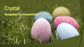  Presentation with eggs egg carton egg box - PPT layouts featuring easter eggs in dewy grass background and a  colored foreground