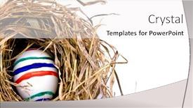  Presentation with net - Presentation theme featuring easter eggs in dry net isolated on white background and a white colored foreground