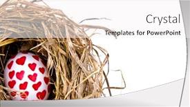  Presentation with net - Beautiful presentation design featuring east meets west - compass longitude latitude navigation direction backdrop and a light gray colored foreground