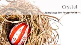  Presentation with net - Colorful presentation enhanced with easter eggs in dry net isolated on white backdrop and a white colored foreground