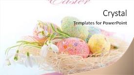  Presentation with pastel - PPT layouts featuring white background beautiful colorful background and a white colored foreground