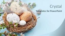  Presentation with quail - Slide deck with easter-eggs-in-nest background and a sky blue colored foreground