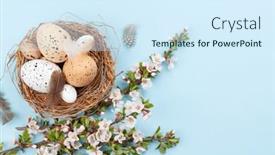  Presentation with quail - Presentation theme consisting of easter-eggs-in-nest background and a  colored foreground