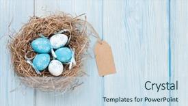  Presentation with easter - PPT layouts with easter eggs in nest background and a sky blue colored foreground