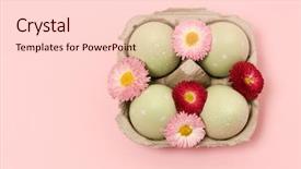  Presentation with easter - Audience pleasing PPT theme consisting of easter eggs on a pink backdrop and a  colored foreground