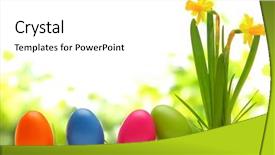  Presentation with daffodil - PPT layouts with easter eggs on meadow background and a white colored foreground