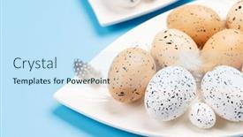  Presentation with quail - PPT theme featuring easter-eggs-on-plate-over background and a sky blue colored foreground