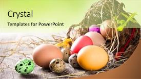  Presentation with eggs egg carton egg box - PPT theme with easter eggs with brown basket background and a blonde colored foreground