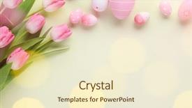  Presentation with easter bunny yellow spring flower - Slide deck with easter eggs with tulip flower background and a cream colored foreground
