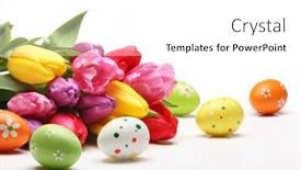  Presentation with tulips - Beautiful theme featuring easter-eggs-with-tulips backdrop and a white colored foreground