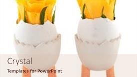  Presentation with roses - 