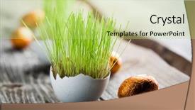  Presentation with coconut shell fresh whole - Amazing PPT theme having easter grass growing in egg shell shallow focus backdrop and a yellow colored foreground