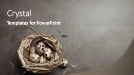  Presentation with quail - Slides enhanced with easter-gray-background background and a gray colored foreground