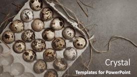  Presentation with quail - PPT layouts with easter-gray-background background and a dark gray colored foreground