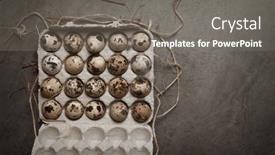  Presentation with quail - Presentation theme consisting of easter-gray-background background and a gray colored foreground