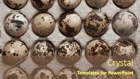  Presentation with quail - Theme featuring easter-gray-vertical-banner background and a tawny brown colored foreground