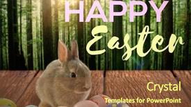  Presentation with tropical forest - Amazing presentation having easter greeting against view of tropical forest backdrop and a tawny brown colored foreground
