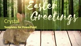  Presentation with tropical forest - Colorful presentation enhanced with easter greeting against view of tropical forest backdrop and a tawny brown colored foreground