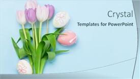  Presentation with blue tulip - Presentation theme having easter-greeting-card-with-easter background and a sky blue colored foreground