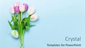  Presentation with blue tulip - Colorful PPT theme enhanced with easter-greeting-card-with-easter backdrop and a sky blue colored foreground