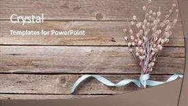  Presentation with greeting card - Colorful PPT layouts enhanced with easter greeting card with pussy backdrop and a coral colored foreground