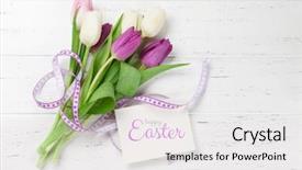  Presentation with white easter lily flowers - Audience pleasing slide set consisting of easter greeting card with tulip backdrop and a white colored foreground