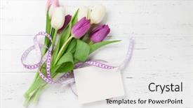  Presentation with white easter lily flowers - Cool new slide deck with easter greeting card with tulip backdrop and a  colored foreground