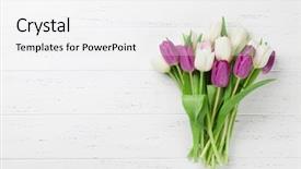  Presentation with happy birthday mama greeting card - Theme consisting of easter greeting card with tulip background and a white colored foreground