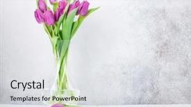  Presentation with card holiday flowers abstract - Colorful theme enhanced with easter greeting card with tulip backdrop and a  colored foreground