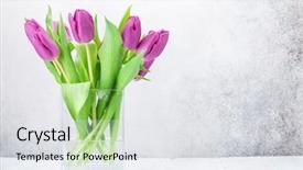  Presentation with happy birthday mama greeting card - Theme with easter greeting card with tulip background and a  colored foreground